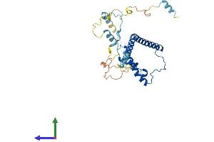Protein Structure (PS) image for EBNA1 Binding Protein 2 (EBNA1BP2) (AA 1-306) protein (His tag) (ABIN7547269)