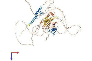 RNF6 Protein (AA 1-667) (His tag)