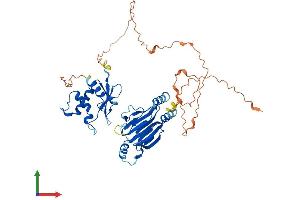 AlphaFold protein structure predicition of Human Recombinant IRF4 Protein, UniprotID Q15306