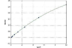 A typical standard curve (PTMA ELISA 试剂盒)