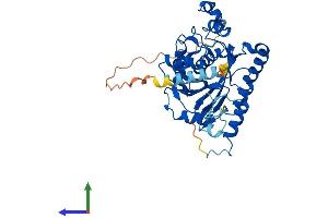 Protein Structure (PS) image for UDP-GlcNAc:betaGal beta-1,3-N-Acetylglucosaminyltransferase 6 (Core 3 Synthase) (B3GNT6) (AA 1-384) protein (His tag) (ABIN7552630)