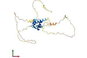 Protein Structure (PS) image for Short Stature Homeobox (SHOX) (AA 1-292) protein (His tag) (ABIN7546171)