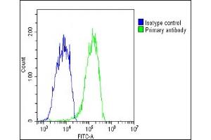 Overlay histogram showing HepG2 cells stained with (ABIN6244209 and ABIN6578833)(green line). (CHRNE 抗体  (AA 409-443))