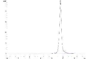 The purity of Human ULBP-1 is greater than 95 % as determined by SEC-HPLC.