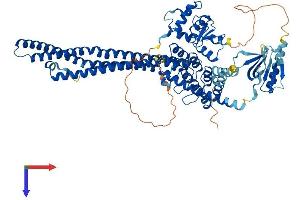 ACAP1 Protein (AA 1-740) (His tag)