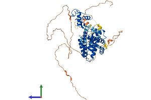 Protein Structure (PS) image for Estrogen Receptor 2 (ESR2) (AA 1-530) protein (His tag) (ABIN7562165)