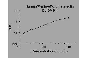 Typical Standard Curve
