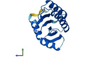 Protein Structure (PS) image for Trafficking Protein Particle Complex 2 (TRAPPC2) (AA 1-140) protein (His tag) (ABIN7544703)
