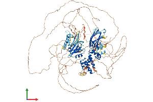 AlphaFold protein structure predicition of Human Recombinant RGS3 Protein, UniprotID P49796