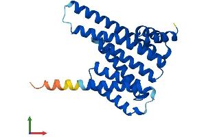 Protein Structure (PS) image for 14-3-3 theta (YWHAQ) (AA 1-245) protein (His tag) (ABIN7556656)