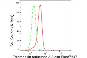 Flow cytometric analysis of Thioredoxin reductase 2 expression in HeLa cells using Thioredoxin reductase 2 antibody (ABIN7800545), 1:2,000). (Recombinant TXNRD2 抗体)