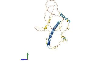 Protein Structure (PS) image for Jun Proto-Oncogene (JUN) (AA 1-331) protein (His tag) (ABIN7548696)
