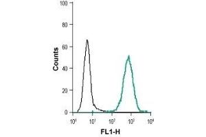 Cell surface detection of EphB1 in live intact human THP-1 monocytic leukemia cell line: (black line) Cells + goat anti-rabbit-AlexaFluor-488 secondary antibody. (EPH Receptor B1 抗体  (Extracellular, N-Term))