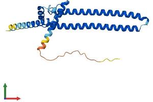 Protein Structure (PS) image for DiGeorge Syndrome Critical Region Gene 6-Like (DGCR6L) (AA 1-220) protein (His tag) (ABIN7547023)