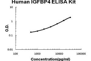 Human IGFBP4 Accusignal ELISA Kit Human IGFBP4 AccuSignal ELISA Kit standard curve. (IGFBP4 ELISA 试剂盒)