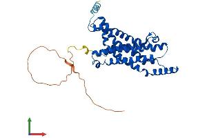 Protein Structure (PS) image for Six Transmembrane Epithelial Antigen of The Prostate 1 (STEAP1) (AA 1-339) protein (His tag) (ABIN7560679)