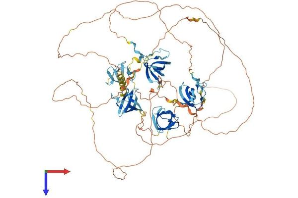 SH3D19 Protein (AA 1-789) (His tag)