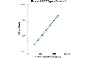 ELISA image for Vascular Endothelial Growth Factor (VEGF) ELISA Kit (ABIN2472089) (VEGF ELISA 试剂盒)