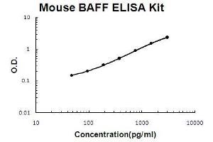 Mouse BAFF PicoKine ELISA Kit standard curve (BAFF ELISA 试剂盒)