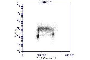 Flow Cytometry (FACS) image for anti-Proliferating Cell Nuclear Antigen (PCNA) (AA 75-125) antibody (ABIN7454604)