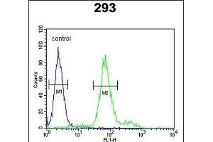 KLF16 Antibody (Center) (ABIN652801 and ABIN2842524) flow cytometric analysis of 293 cells (right histogram) compared to a negative control cell (left histogram). (KLF16 抗体  (AA 150-179))