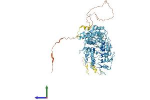 Protein Structure (PS) image for Zinc Finger Protein 585B (ZNF585B) (AA 1-769) protein (His tag) (ABIN7545222)