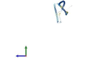 Protein Structure (PS) image for Growth Arrest-Specific 8 (GAS8) (AA 1-478) protein (His tag) (ABIN7547915)