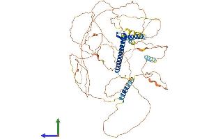 Protein Structure (PS) image for Transcription Factor 4 (TCF4) (AA 1-667) protein (His tag) (ABIN7554253)