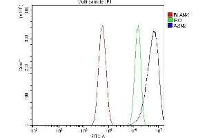 Flow Cytometry analysis of U87 cells using anti-Arginine Decarboxylase/AZIN2 antibody (ABIN7599403). (ADC 抗体  (AA 1-448))