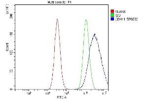 Flow Cytometry analysis of PC-3 cells using anti-OB Cadherin/CDH11 antibody (ABIN5518978).