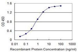 Detection limit for recombinant GST tagged RNF25 is 0. (RNF25 抗体  (AA 352-459))