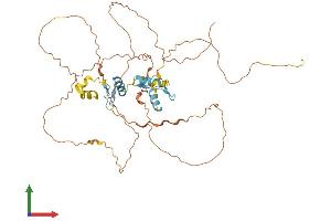 Protein Structure (PS) image for Sp7 Transcription Factor (SP7) (AA 1-428) protein (His tag) (ABIN7559951)