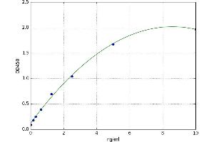 Aconitase 1 (ACO1) ELISA Kit