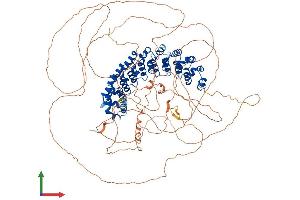 Protein Structure (PS) image for Pumilio Homolog 2 (Drosophila) (PUM2) (AA 1-1066) protein (His tag) (ABIN7564252)