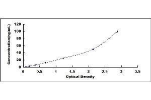 Typical standard curve (REG3g ELISA 试剂盒)
