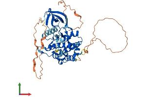 Protein Structure (PS) image for STE20-Related Kinase Adaptor beta (STRADB) (AA 1-418) protein (His tag) (ABIN7559584)