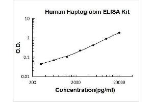 Typical Standard Curve