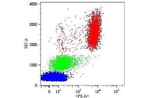 Surface staining of human peripheral blood cells with anti-human CD16 (MEM-154) PE. (CD16 抗体)