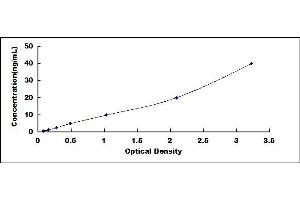 Typical standard curve (Ferritin ELISA 试剂盒)