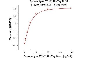ELISA image for Inducible T-Cell Co-Stimulator Ligand (ICOSLG) (AA 19-256) (Active) protein (His tag) (ABIN6938823)