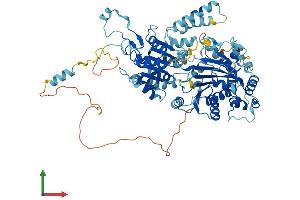 Protein Structure (PS) image for RAD54-Like (RAD54L) (AA 1-747) protein (His tag) (ABIN7555137)