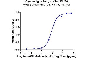 ELISA image for AXL Receptor tyrosine Kinase (AXL) (AA 33-449) protein (His tag) (ABIN7273880)