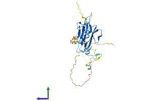 AlphaFold protein structure predicition of Mouse Recombinant Mvb12b Protein, UniprotID Q6KAU4