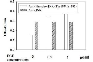 Image no. 3 for ERK1/2, JNK, p38 MAPK ELISA Kit (ABIN1981832)