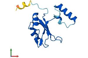 AlphaFold protein structure predicition of Mouse Recombinant Sf3b6 Protein, UniprotID P59708