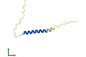 AlphaFold protein structure predicition of Mouse Recombinant Fxyd2 Protein, UniprotID Q04646