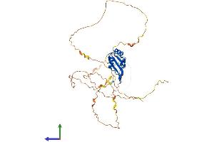 Protein Structure (PS) image for Ataxin 2-Binding Protein 1 (A2BP1) (AA 1-396) protein (His tag) (ABIN7561567)