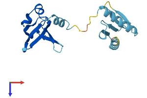 Protein Structure (PS) image for Gem (Nuclear Organelle) Associated Protein 6 (GEMIN6) (AA 1-167) protein (His tag) (ABIN7547893)