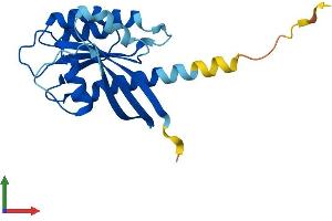 Protein Structure (PS) image for RAB7B, Member RAS Oncogene Family (RAB7B) (AA 1-199) protein (His tag) (ABIN7559899)