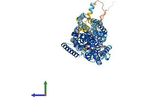 Protein Structure (PS) image for Solute Carrier Family 5 (Sodium/inositol Cotransporter), Member 11 (SLC5A11) (AA 1-673) protein (His tag) (ABIN7564614)